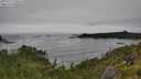 ./images/calvert/foggy-cove/20250712/foggy-cove20250712_140508M.jpg