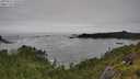 ./images/calvert/foggy-cove/20250712/foggy-cove20250712_141010M.jpg
