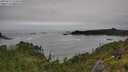 ./images/calvert/foggy-cove/20250712/foggy-cove20250712_144010M.jpg
