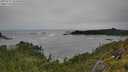 ./images/calvert/foggy-cove/20250712/foggy-cove20250712_152010M.jpg