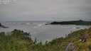 ./images/calvert/foggy-cove/20250712/foggy-cove20250712_153011M.jpg
