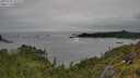 ./images/calvert/foggy-cove/20250712/foggy-cove20250712_155510M.jpg