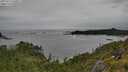 ./images/calvert/foggy-cove/20250712/foggy-cove20250712_160011M.jpg