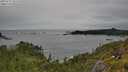 ./images/calvert/foggy-cove/20250712/foggy-cove20250712_161508M.jpg