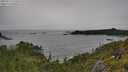 ./images/calvert/foggy-cove/20250712/foggy-cove20250712_172010M.jpg