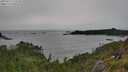 ./images/calvert/foggy-cove/20250712/foggy-cove20250712_172510M.jpg