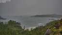 ./images/calvert/foggy-cove/20250713/foggy-cove20250713_080011M.jpg