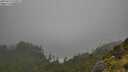 ./images/calvert/foggy-cove/20250713/foggy-cove20250713_120505M.jpg