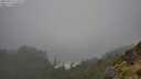 ./images/calvert/foggy-cove/20250713/foggy-cove20250713_121008M.jpg