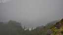 ./images/calvert/foggy-cove/20250713/foggy-cove20250713_121510M.jpg