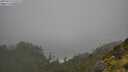 ./images/calvert/foggy-cove/20250713/foggy-cove20250713_122509M.jpg