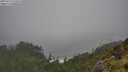 ./images/calvert/foggy-cove/20250713/foggy-cove20250713_124508M.jpg
