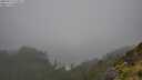 ./images/calvert/foggy-cove/20250713/foggy-cove20250713_125011M.jpg