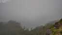 ./images/calvert/foggy-cove/20250713/foggy-cove20250713_125510M.jpg