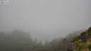 ./images/calvert/foggy-cove/20250713/foggy-cove20250713_133510M.jpg