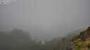 ./images/calvert/foggy-cove/20250713/foggy-cove20250713_134010M.jpg