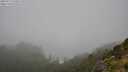 ./images/calvert/foggy-cove/20250713/foggy-cove20250713_134510M.jpg
