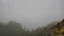 ./images/calvert/foggy-cove/20250713/foggy-cove20250713_135509M.jpg
