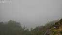 ./images/calvert/foggy-cove/20250713/foggy-cove20250713_140010M.jpg