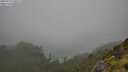 ./images/calvert/foggy-cove/20250713/foggy-cove20250713_140509M.jpg