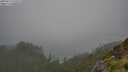 ./images/calvert/foggy-cove/20250713/foggy-cove20250713_141009M.jpg