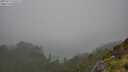 ./images/calvert/foggy-cove/20250713/foggy-cove20250713_141510M.jpg