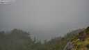 ./images/calvert/foggy-cove/20250713/foggy-cove20250713_142509M.jpg