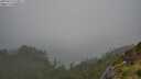 ./images/calvert/foggy-cove/20250713/foggy-cove20250713_143011M.jpg