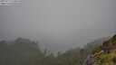 ./images/calvert/foggy-cove/20250713/foggy-cove20250713_144008M.jpg
