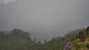 ./images/calvert/foggy-cove/20250713/foggy-cove20250713_144509M.jpg