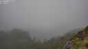 ./images/calvert/foggy-cove/20250713/foggy-cove20250713_150508M.jpg