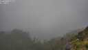 ./images/calvert/foggy-cove/20250713/foggy-cove20250713_152009M.jpg