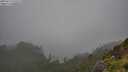 ./images/calvert/foggy-cove/20250713/foggy-cove20250713_155510M.jpg