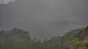 ./images/calvert/foggy-cove/20250713/foggy-cove20250713_164010M.jpg