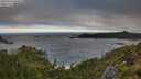 ./images/calvert/foggy-cove/20250714/foggy-cove20250714_065008M.jpg