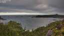 ./images/calvert/foggy-cove/20250714/foggy-cove20250714_070510M.jpg