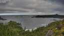 ./images/calvert/foggy-cove/20250714/foggy-cove20250714_074008M.jpg