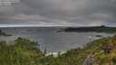 ./images/calvert/foggy-cove/20250714/foggy-cove20250714_074509M.jpg