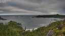 ./images/calvert/foggy-cove/20250714/foggy-cove20250714_075009M.jpg