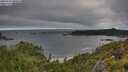 ./images/calvert/foggy-cove/20250714/foggy-cove20250714_080010M.jpg