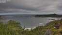 ./images/calvert/foggy-cove/20250714/foggy-cove20250714_081010M.jpg