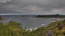 ./images/calvert/foggy-cove/20250714/foggy-cove20250714_081508M.jpg
