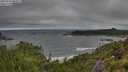 ./images/calvert/foggy-cove/20250714/foggy-cove20250714_082007M.jpg