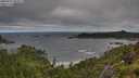 ./images/calvert/foggy-cove/20250714/foggy-cove20250714_083009M.jpg