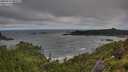 ./images/calvert/foggy-cove/20250714/foggy-cove20250714_083509M.jpg