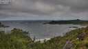 ./images/calvert/foggy-cove/20250714/foggy-cove20250714_084010M.jpg
