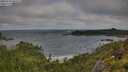 ./images/calvert/foggy-cove/20250714/foggy-cove20250714_084510M.jpg