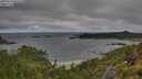 ./images/calvert/foggy-cove/20250714/foggy-cove20250714_092510M.jpg