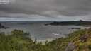 ./images/calvert/foggy-cove/20250714/foggy-cove20250714_093510M.jpg
