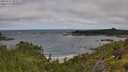 ./images/calvert/foggy-cove/20250714/foggy-cove20250714_095011M.jpg